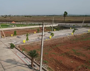 image-location